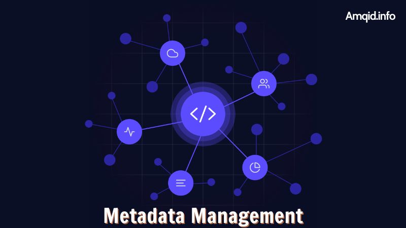Metadata Management: Providing Context and Insight