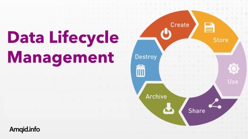 Data Lifecycle Management: From Creation to Disposal