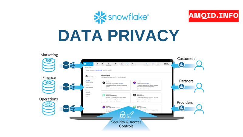 Snowflake Data Privacy