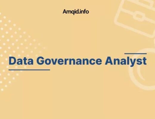 Data Governance Analyst